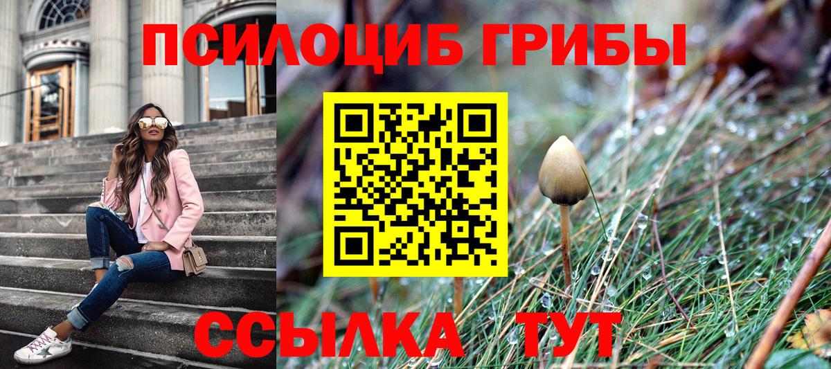 Галлюциногенные грибы ЛСД  Вход с VPN  Псилоцибиновые грибы ЛСД  Рубцовск 
