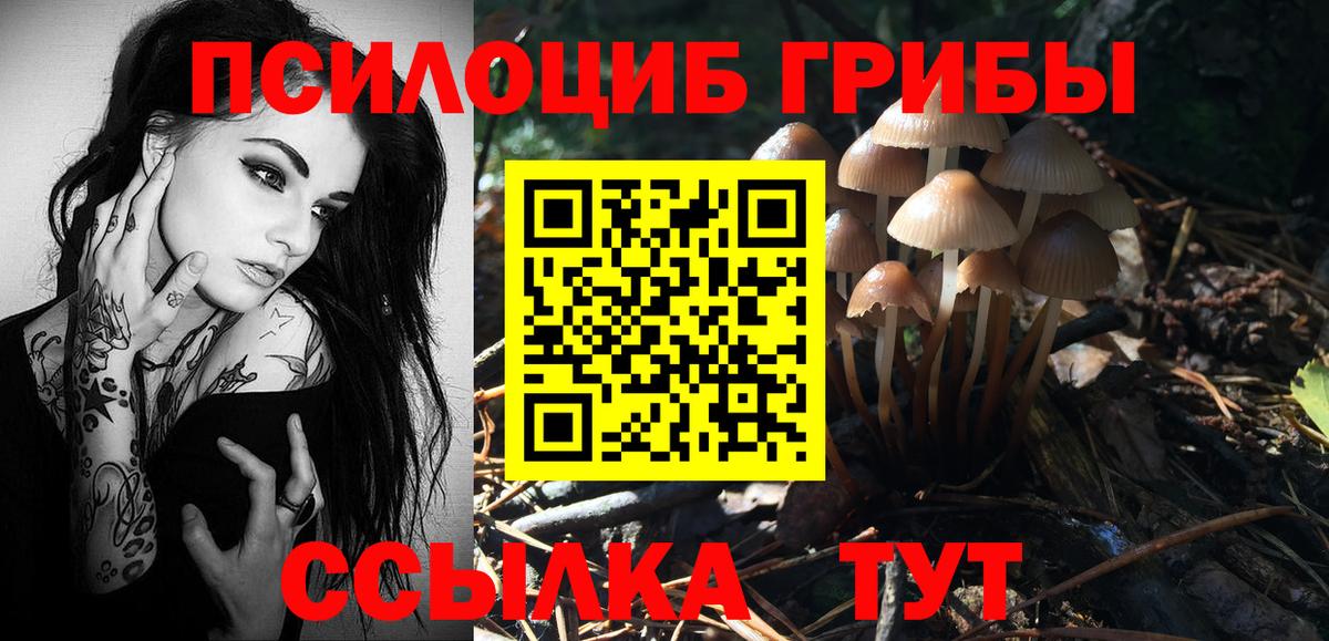 Галлюциногенные грибы мицелий Рубцовск